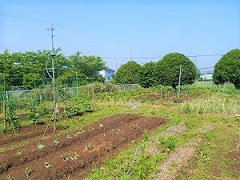 高草農園